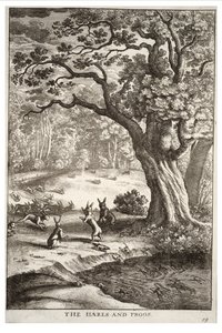 Le lepri e le rane da Wenceslaus Hollar
